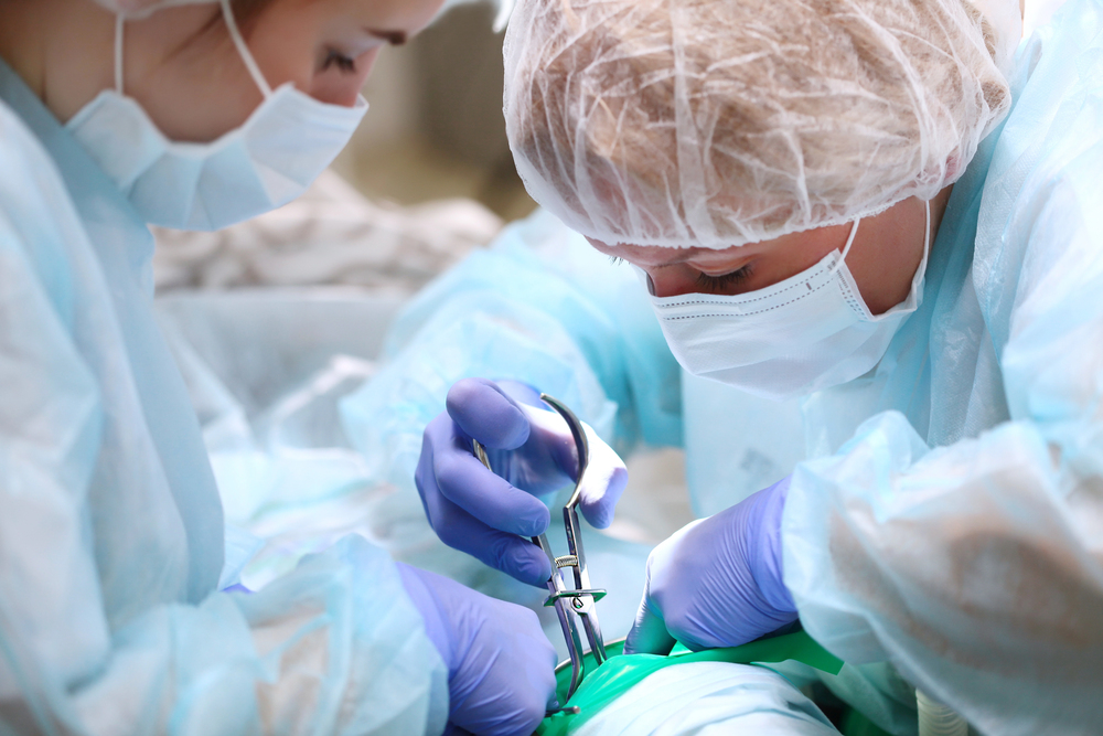 Sleep Dentistry: A Solution to Anxiety at Your Dentist Appointment